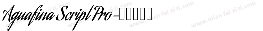 Aguafina Script Pro字体转换